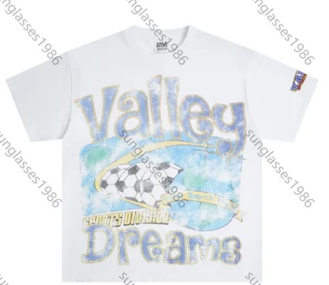 Valley Sports Division